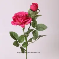 Rose 2 Heads