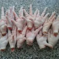 Chicken Paws and Feet