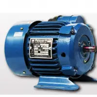 AC Induction Motors