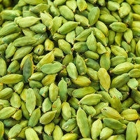 Cardamom