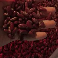 Kidney beans