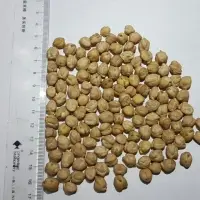 Chickpeas