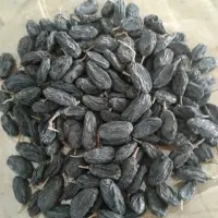 Raisin