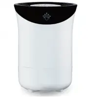 Hydrogen Humidifier