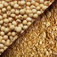 Soybean Meal (Granulated)