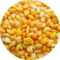 Yellow Corn