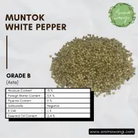 Muntok White Pepper Powder Grade B (ASTA)