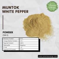 Muntok White Pepper Powder 50 Kg