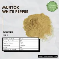 Muntok White Pepper Powder 50 Kg