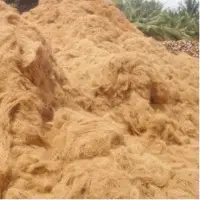 Brown Fiber