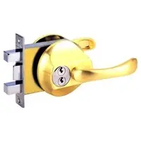 Door lock, main door lever