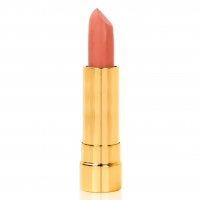 Gold Lipstick - NEW WELL