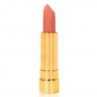 Gold Lipstick - NEW WELL