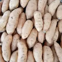 Honey Sweet Potato