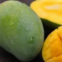 Fresh Mango Harum Manis
