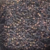 Clove