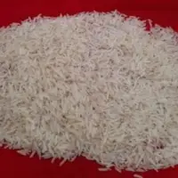 1509 Basmati Rice