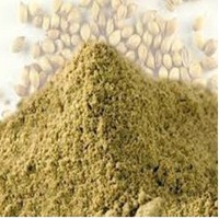 Coriander Powder