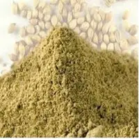 Coriander Powder