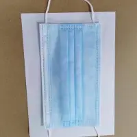 3 Ply Masks