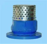 Cast iron valve