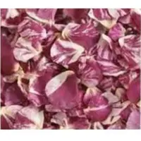 Gulab Phool