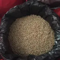Green Coffee Beans