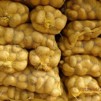 Farm Fresh Potato/ High Quality Potato