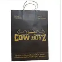 Rope Handled Shopping Paper Bag