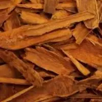 Cinnamon
