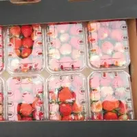Fresh Strawberry