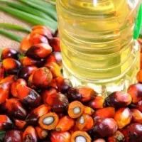 Refined Palm Oil