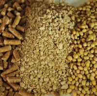 Soybean Meal