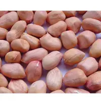 Ground Nuts