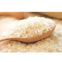 Rice