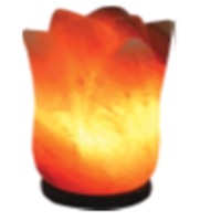 Carved Flower Salt Lamp