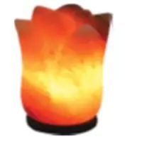 Carved Flower Salt Lamp