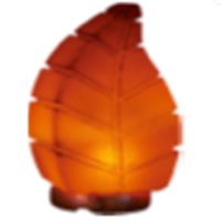 Himalayan Rock Salt Leaf Table Lamp