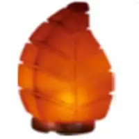 Himalayan Rock Salt Leaf Table Lamp