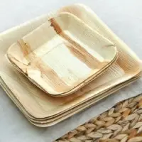 Areca Leaf Plates