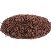 Black Mustard Seeds