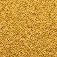 Yellow Mustard Seeds