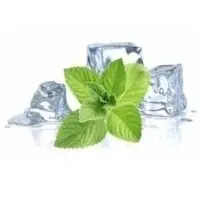 Liquid Menthol