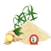 Ginger Dry Extract