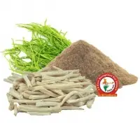 Satawari Dry Extract