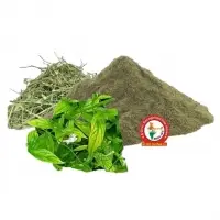 Kalmegh Dry Extract