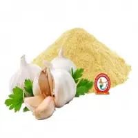 Garlic Dry Extract