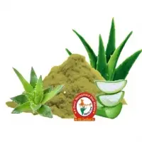 Aloe Vera Dry Extract