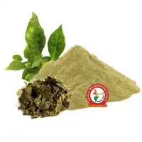Belpatra Dry Extract