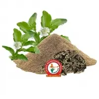 Bhringraj Dry Extract